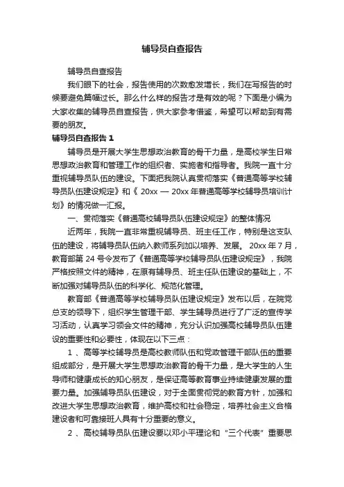 辅导员自查报告