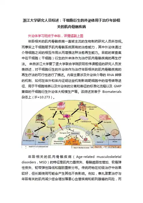 浙江大学研究人员综述：干细胞衍生的外泌体用于治疗年龄相关的肌肉骨骼疾病