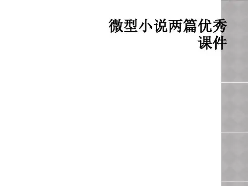 微型小说两篇优秀课件