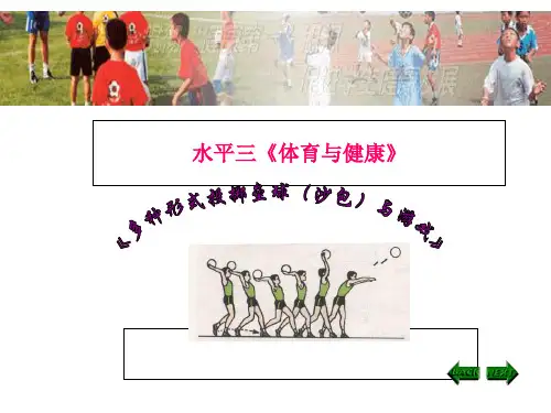 《4多种形式投掷垒球(沙包)与游戏》精品课件(宁夏县级优课)