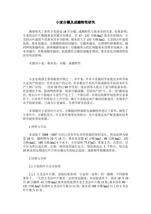 小麦分蘖及成穗特性研究