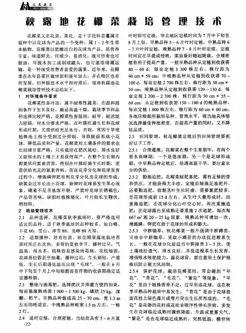 秋露地花椰菜栽培管理技术