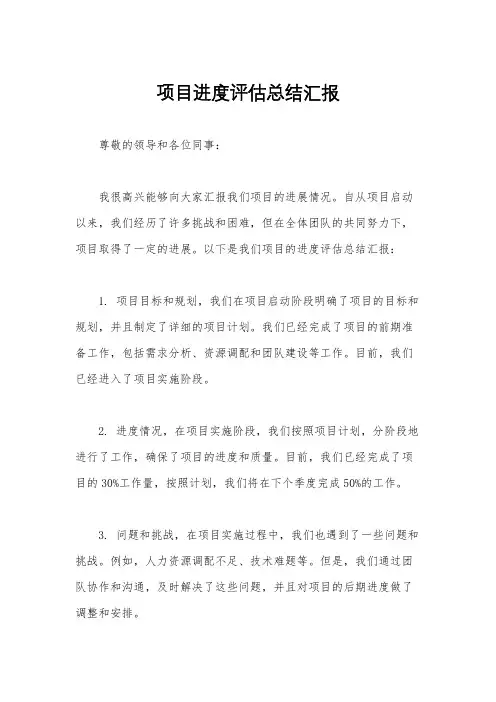 项目进度评估总结汇报