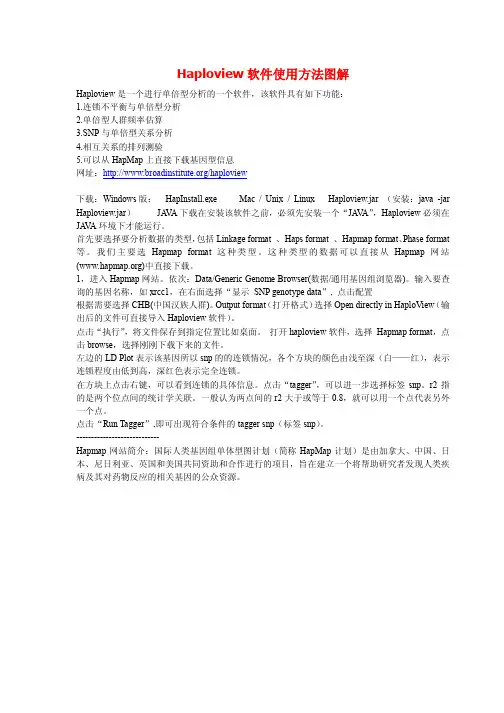 Haploview软件使用方法图解