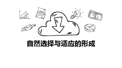 《自然选择与适应的形成》 PPT教学课件