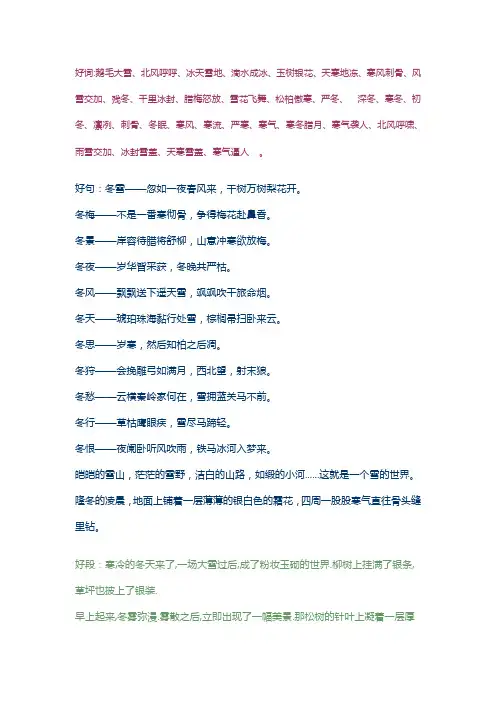 描写冬天的好词好句好段