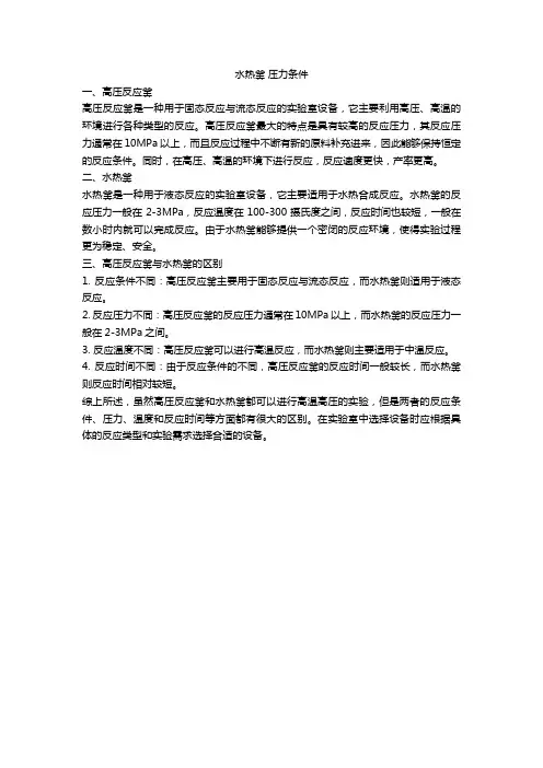 水热釜 压力条件