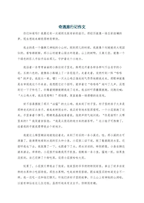 奇遇旅行记作文