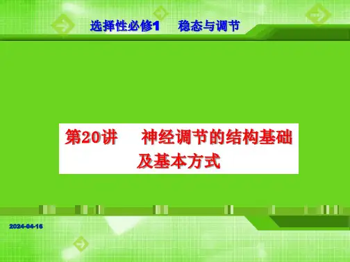 高三生物一轮复习课件第20讲神经调节的结构基础及基本方式