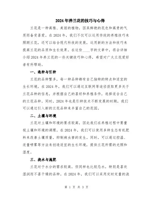 2024年养兰花的技巧与心得