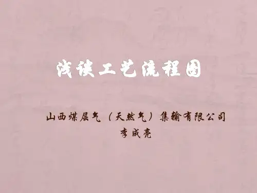 工艺流程图