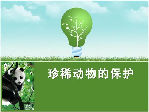 《珍稀动物的保护》多种多样的动物PPT课件