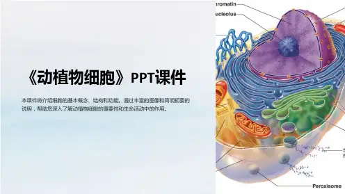 《动植物细胞》课件