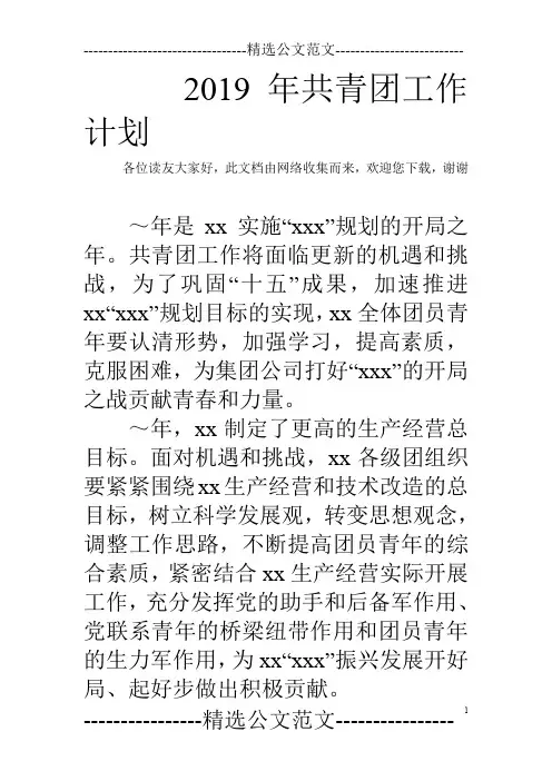 2019年共青团工作计划_0
