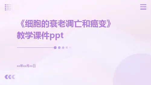 《细胞的衰老凋亡和癌变》教学课件ppt