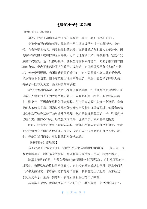 《骆驼王子》读后感