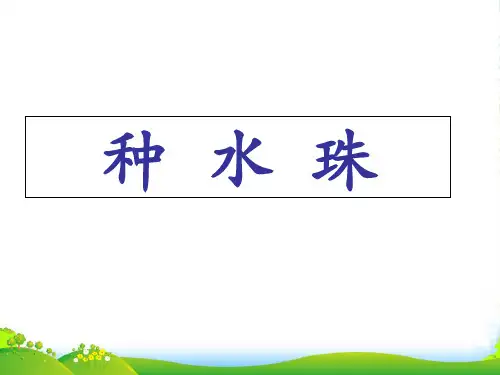 《种水珠》课件一级语文