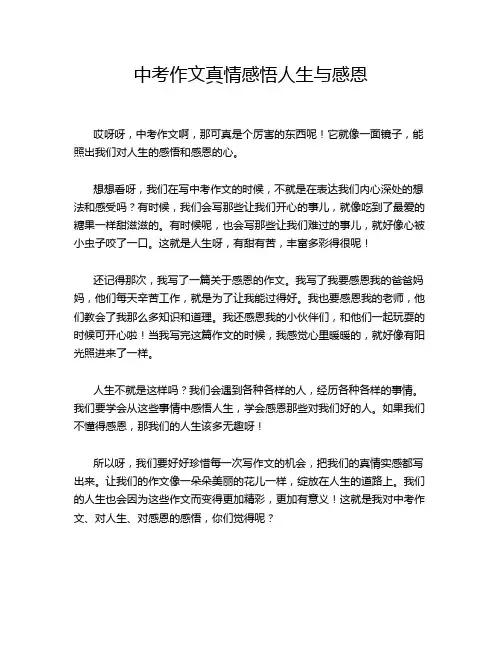 中考作文真情感悟人生与感恩