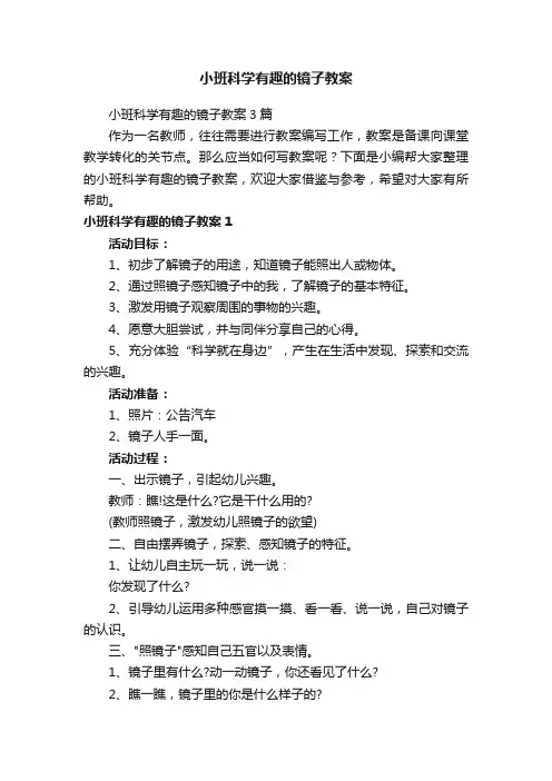小班科学有趣的镜子教案