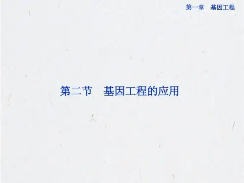 高中生物同步课件：1.2 基因工程的应用(苏教版选修3)