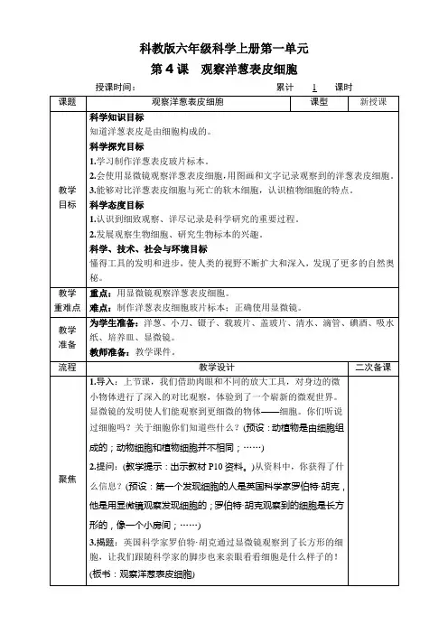 科教版六年级科学上册第一单元第4课《观察洋葱表皮细胞》教案