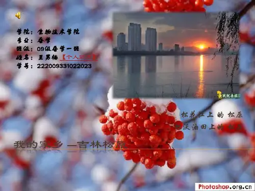 我的家乡 ---吉林松原