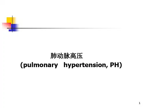 肺动脉高压PPT课件