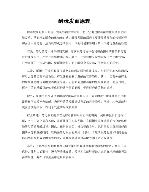酵母发面原理