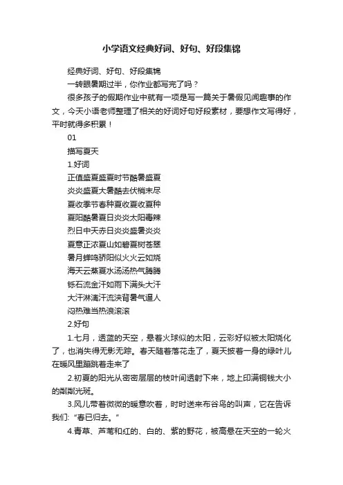 小学语文经典好词、好句、好段集锦