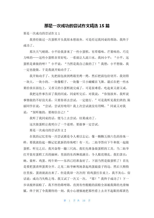 那是一次成功的尝试作文精选15篇