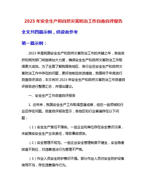 2023年安全生产和自然灾害防治工作自查自评报告
