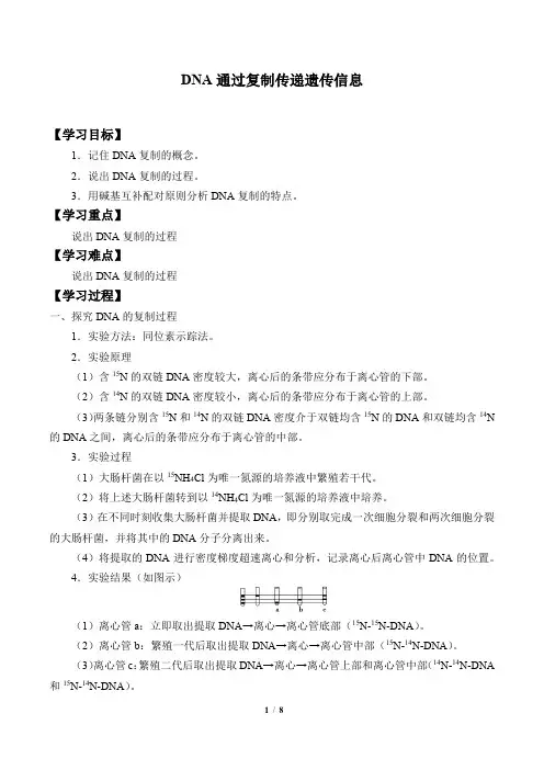 浙科版(2019)生物必修2：3.3 DNA通过复制传递遗传信息  学案