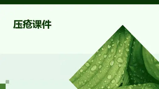 压疮课件ppt课件