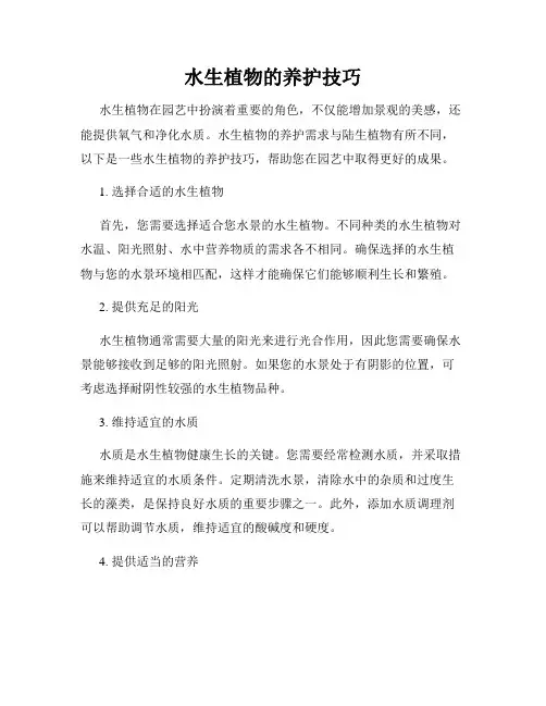 水生植物的养护技巧