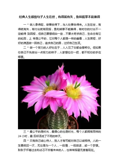 经典人生感悟句子人生在世，有得就有失，鱼和熊掌不能兼得