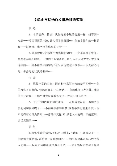 实验中学精选作文批改评语范例