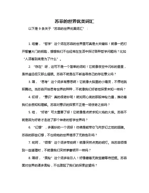 苏菲的世界优美词汇