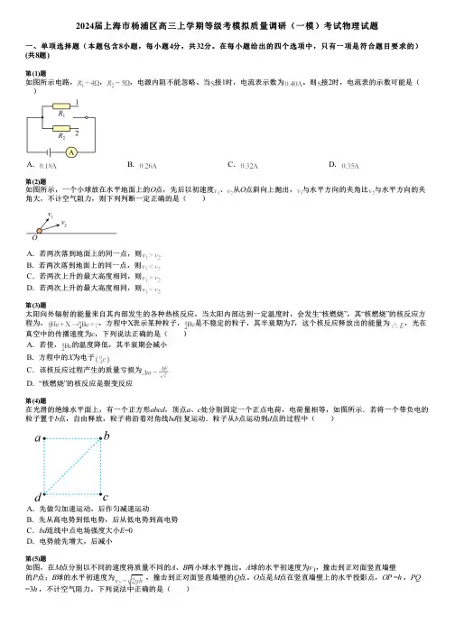 2024届上海市杨浦区高三上学期等级考模拟质量调研(一模)考试物理试题