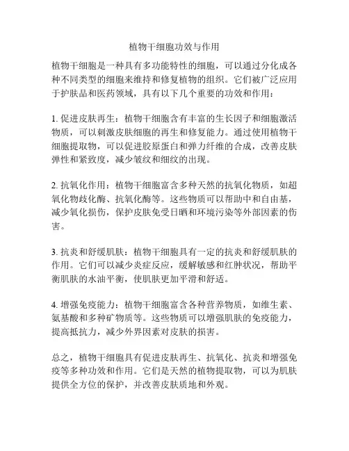 植物干细胞功效与作用