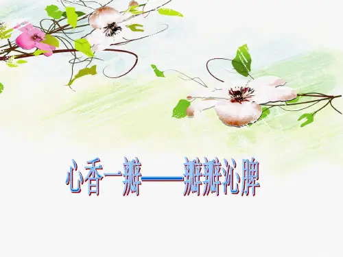 小学语文阅读中年段A 第七讲 段意归纳连连看-优质课件