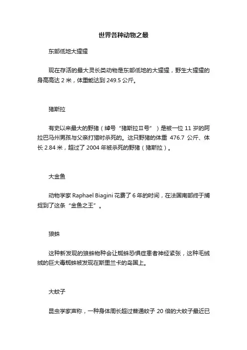 世界各种动物之最
