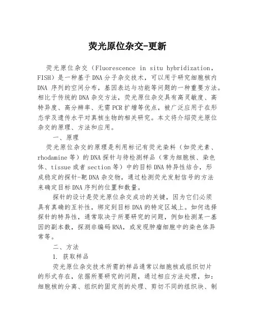 荧光原位杂交-更新