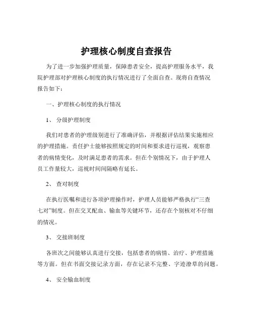 护理核心制度自查报告