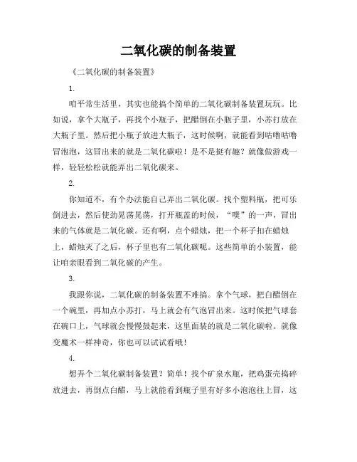 二氧化碳的制备装置