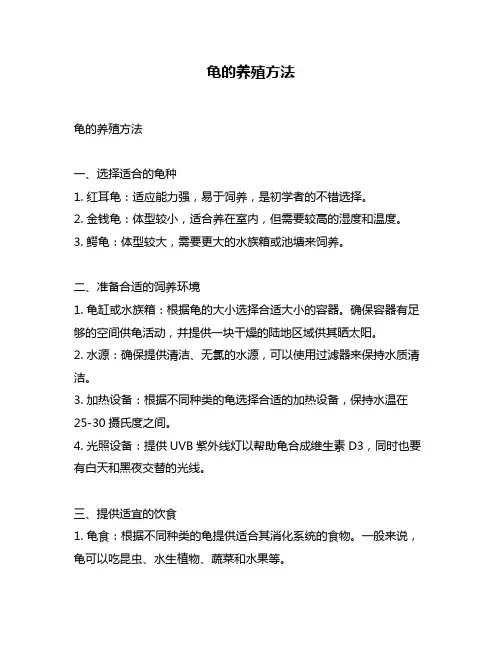 龟的养殖方法