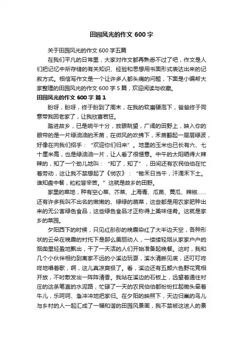关于田园风光的作文600字五篇