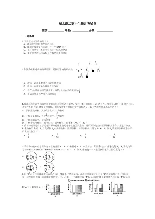 湖北高二高中生物月考试卷带答案解析
