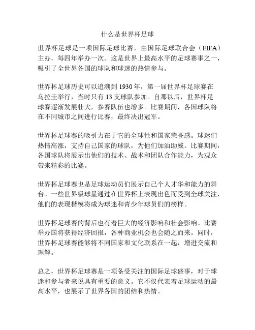 什么是世界杯足球