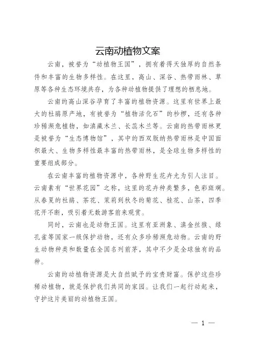 云南动植物文案