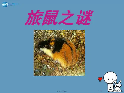 八年级语文下册 13 旅鼠之谜课件 新人教版